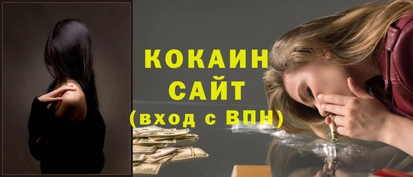 гидропоника Пересвет