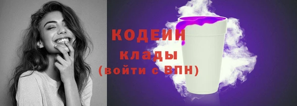 гидропоника Пересвет