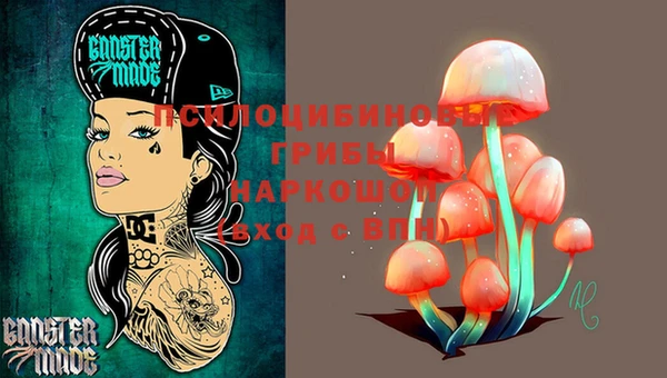 марки lsd Переславль-Залесский