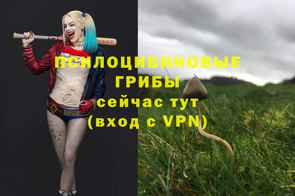 марки lsd Переславль-Залесский