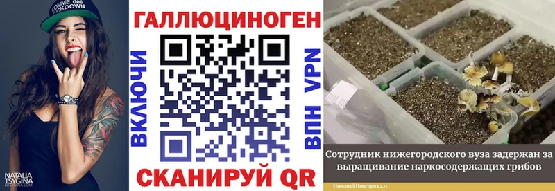 где можно купить наркотик  Калининец  Галлюциногенные грибы прущие грибы 
